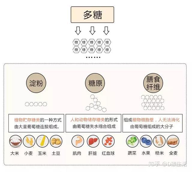 减脂期间如何选择合适的碳水化合物